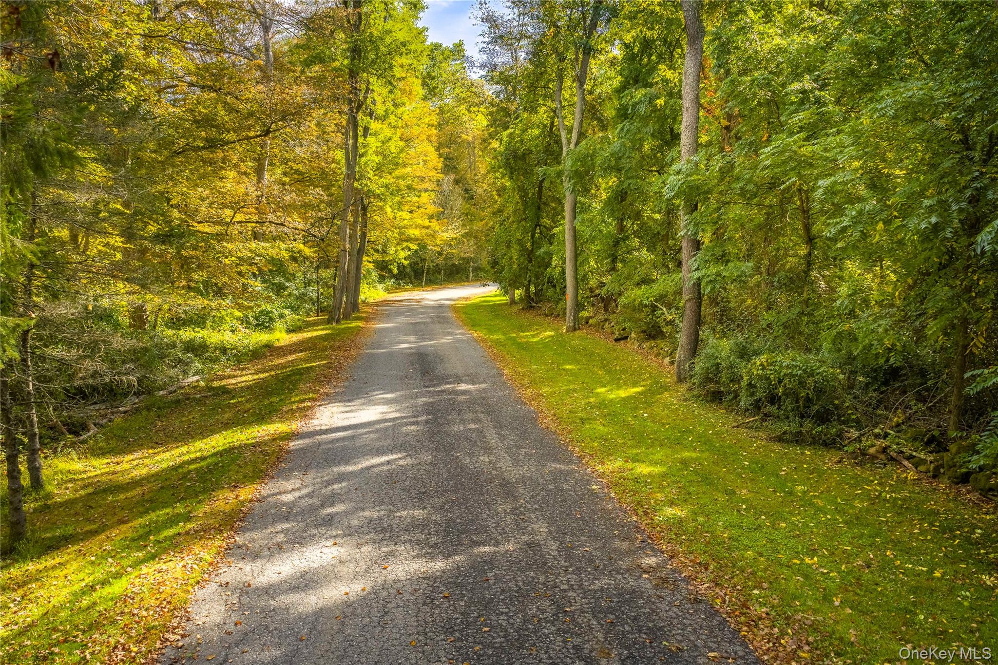 Lot 21 Cox Road Pawling, NY 12564 - Photo 8 of 8 View of street featuring a wooded view