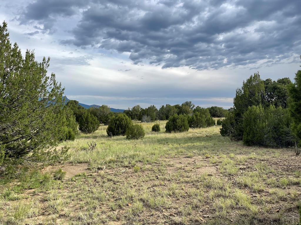 Tbd(#93 Rancho Verde Road Trinidad, CO 81082 - Photo 1 of 20 Gallery Image 1