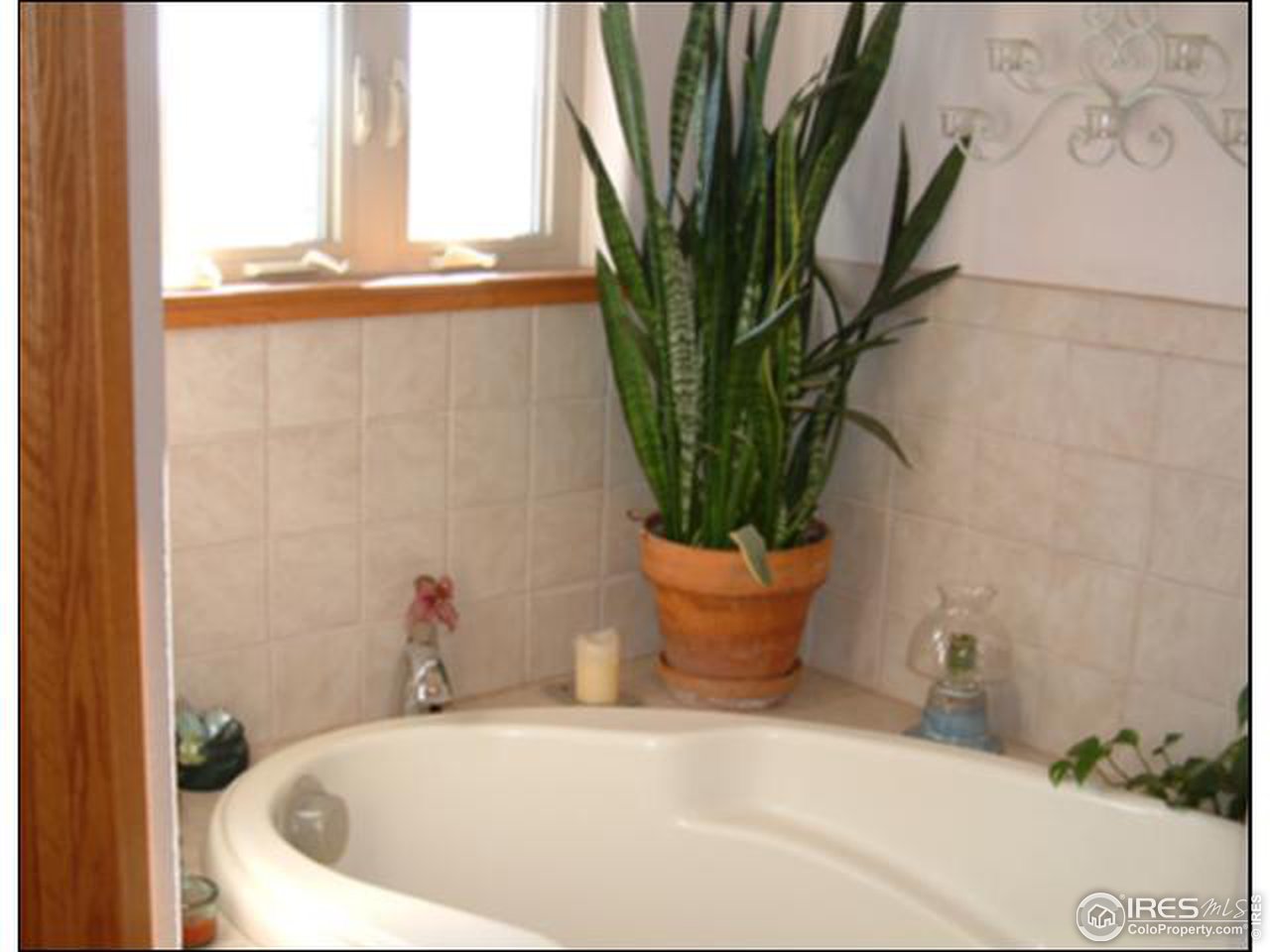 1403 Ranch Springs Road Laporte, CO 80535 - Photo 10 of 13 Gallery Image 10