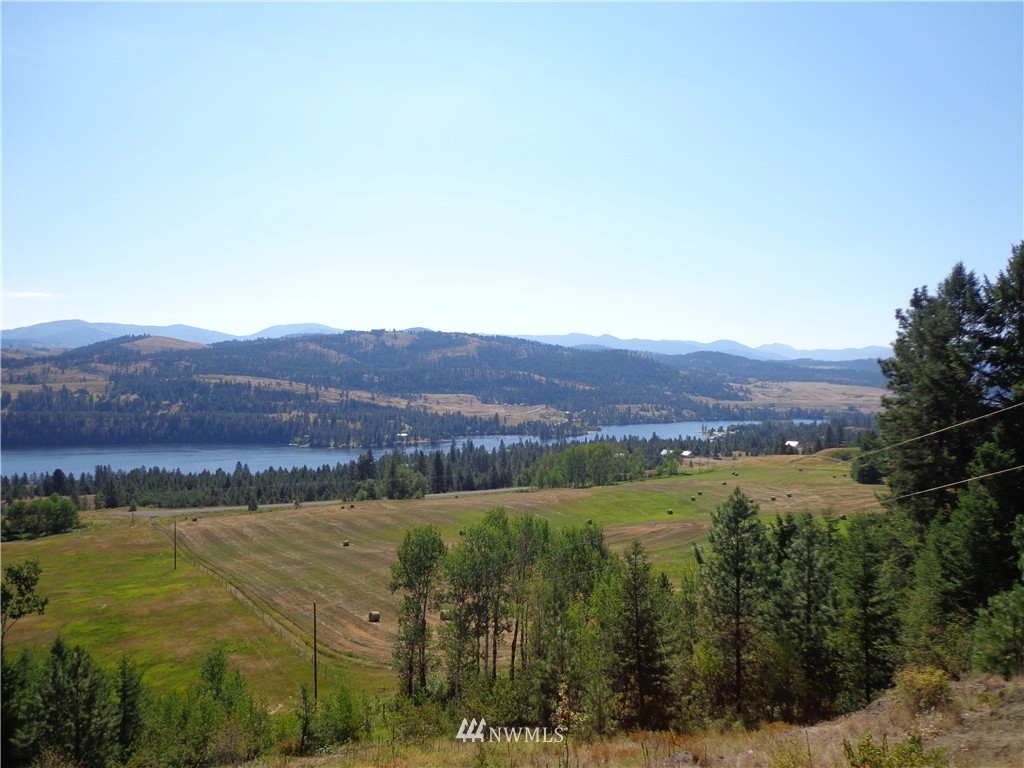 65 Redmond Road Republic, WA 99166 - Photo 1 of 17 Gallery Image 1