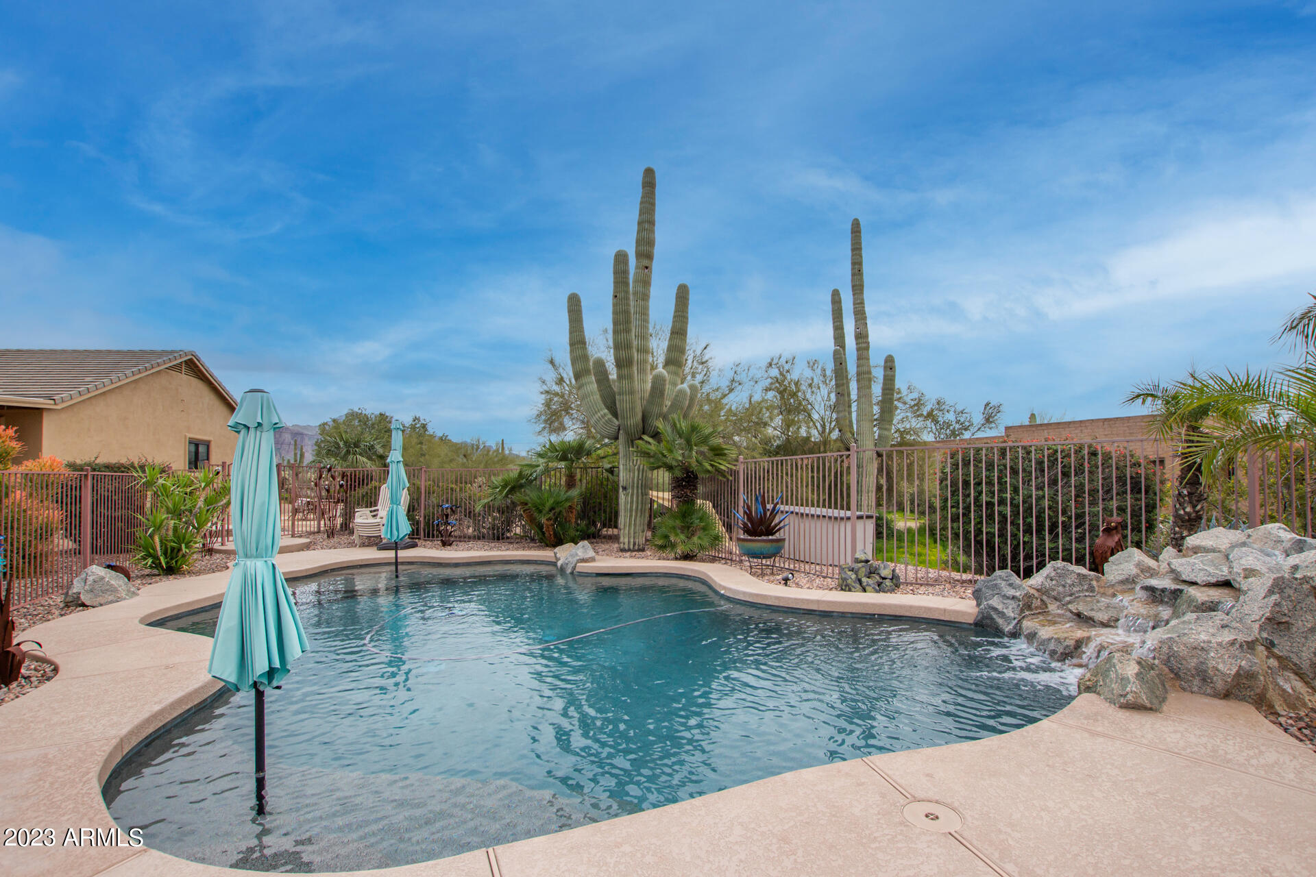 4532 North Cactus Road Apache Junction, AZ 85119 - Photo 9 of 15 Pool