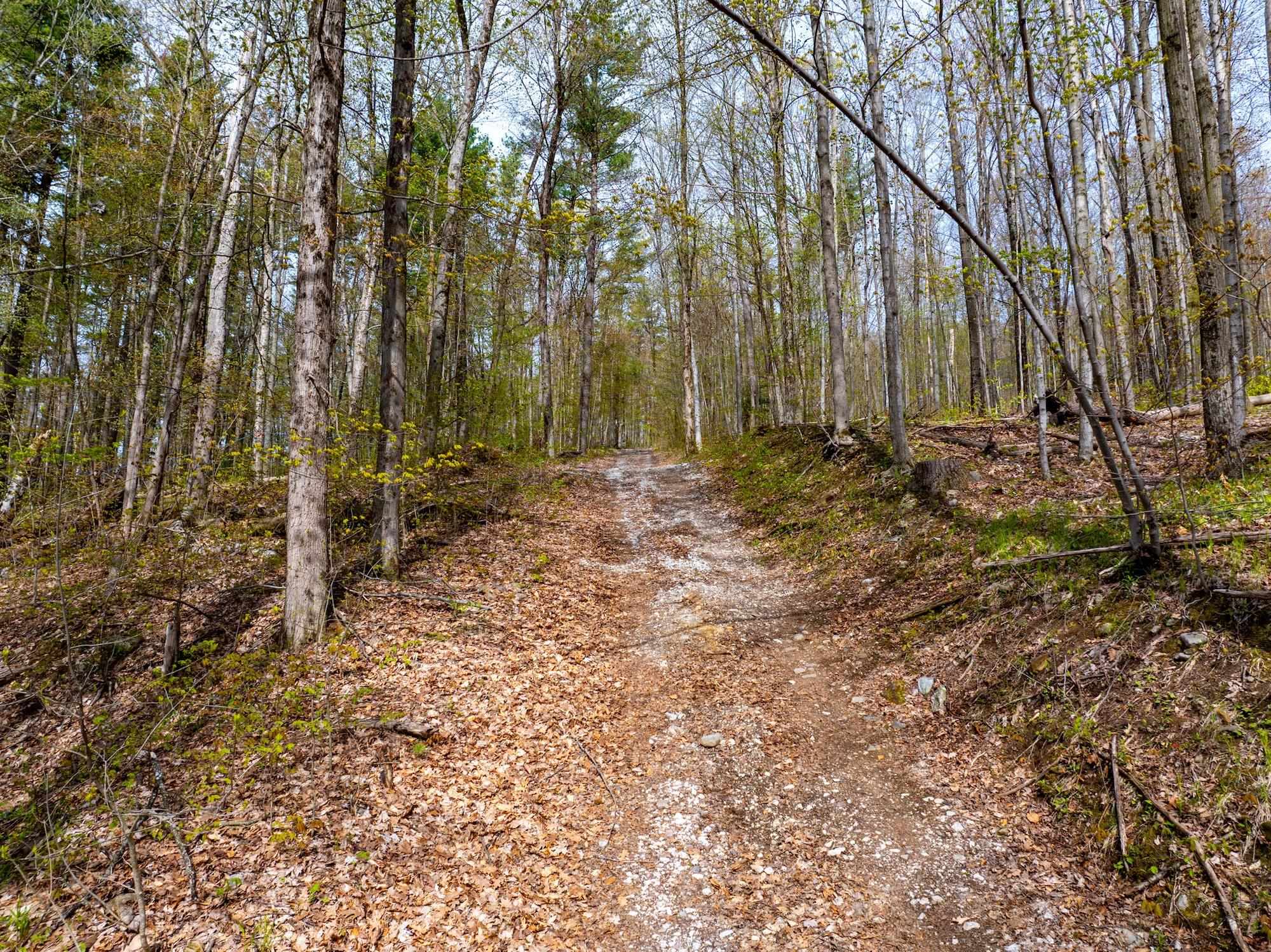 476 Lincoln Road Williston, VT 05495 - Photo 22 of 29