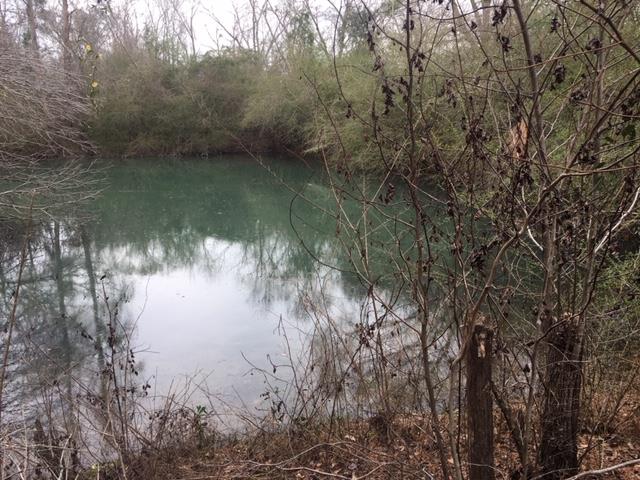 Land Bruner Road Dothan, AL 36301 - Photo 2 of 3