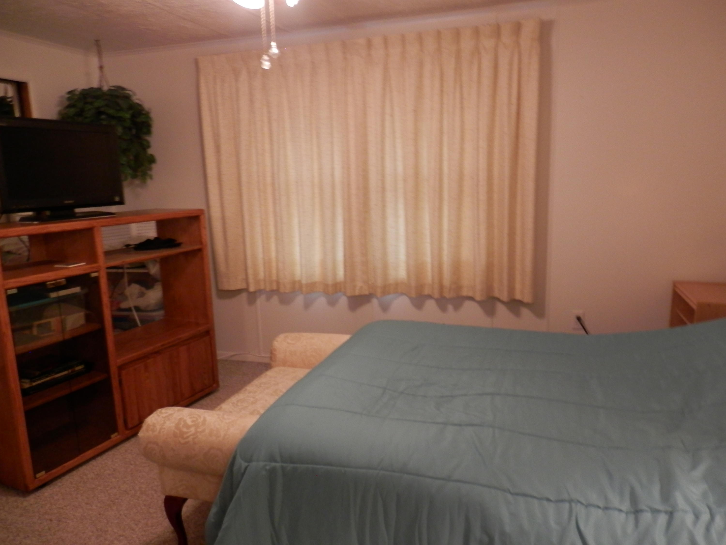 397 Dinsmore Road Dryden, VA 24243 - Photo 18 of 24 PC160153