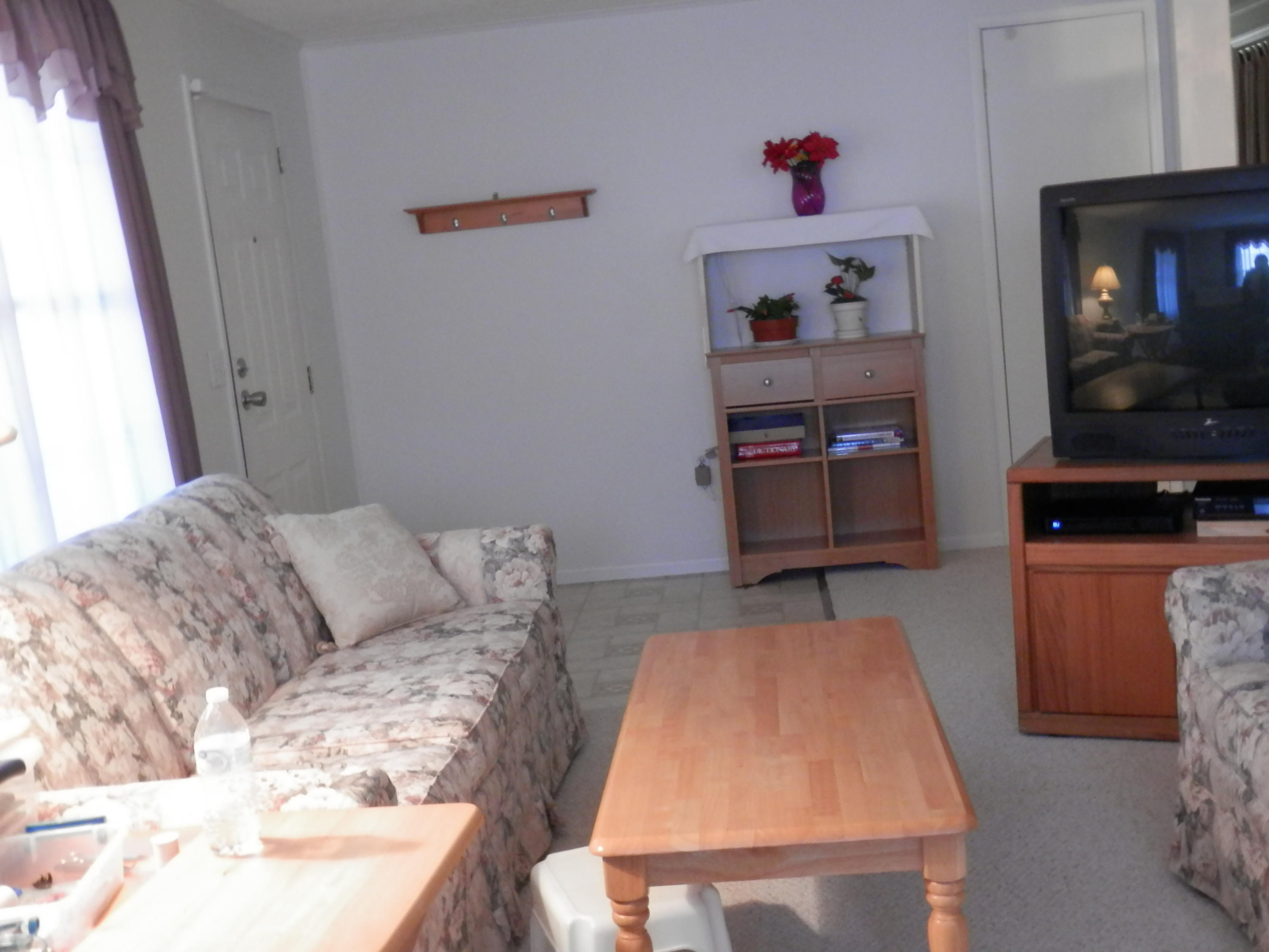 397 Dinsmore Road Dryden, VA 24243 - Photo 5 of 24 PC190235