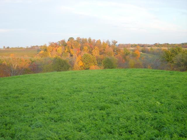 0 Haley Ridge Road Brooksville, KY 41004 - Photo 15 of 15 Gallery Image 15