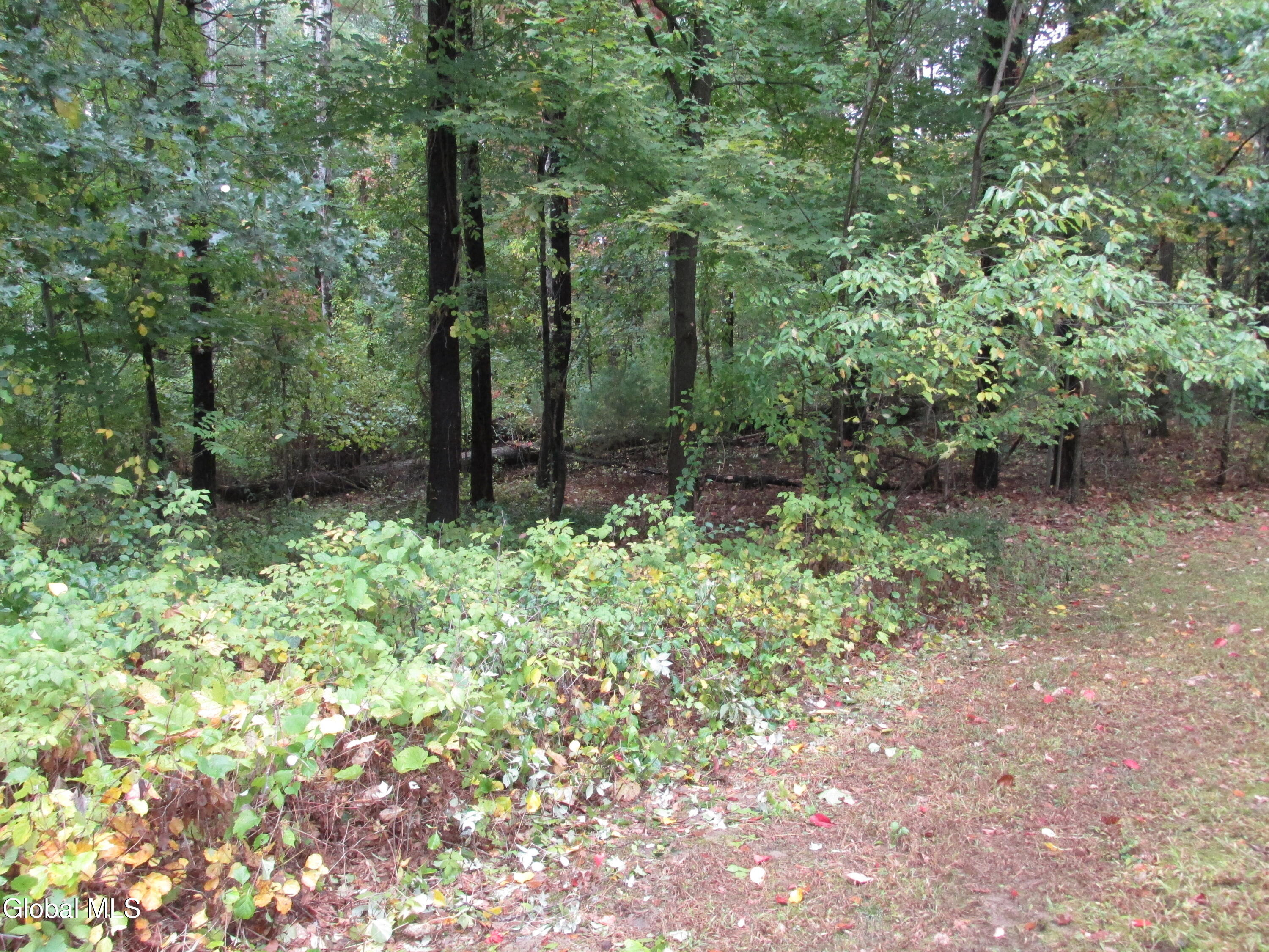5 Stonegate Road Clifton Park, NY 12019 - Photo 13 of 48 IMG_4099