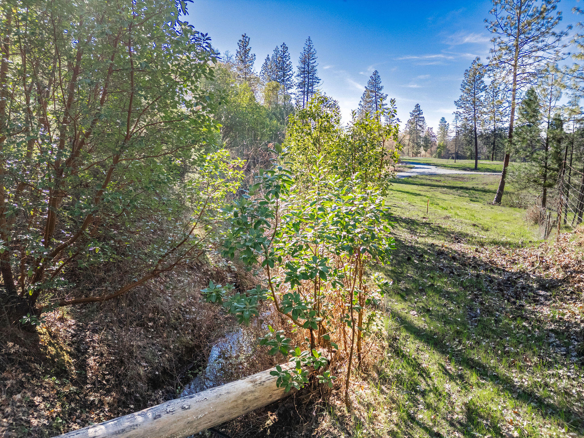 5009 Lane Creek Road, Unit PARCEL 3 Central Point, OR 97502 - Photo 14 of 38