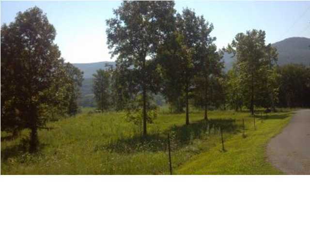 0 Jack Smith Road Dunlap, TN 37327 - Photo 1 of 4 Primary Photo