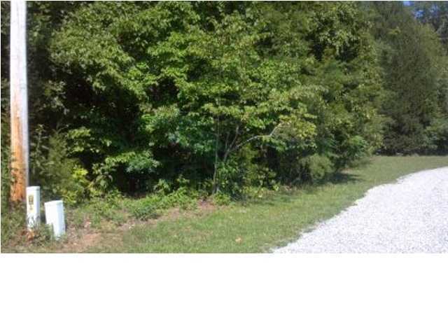 0 Jack Smith Road Dunlap, TN 37327 - Photo 3 of 4 Additional Photo