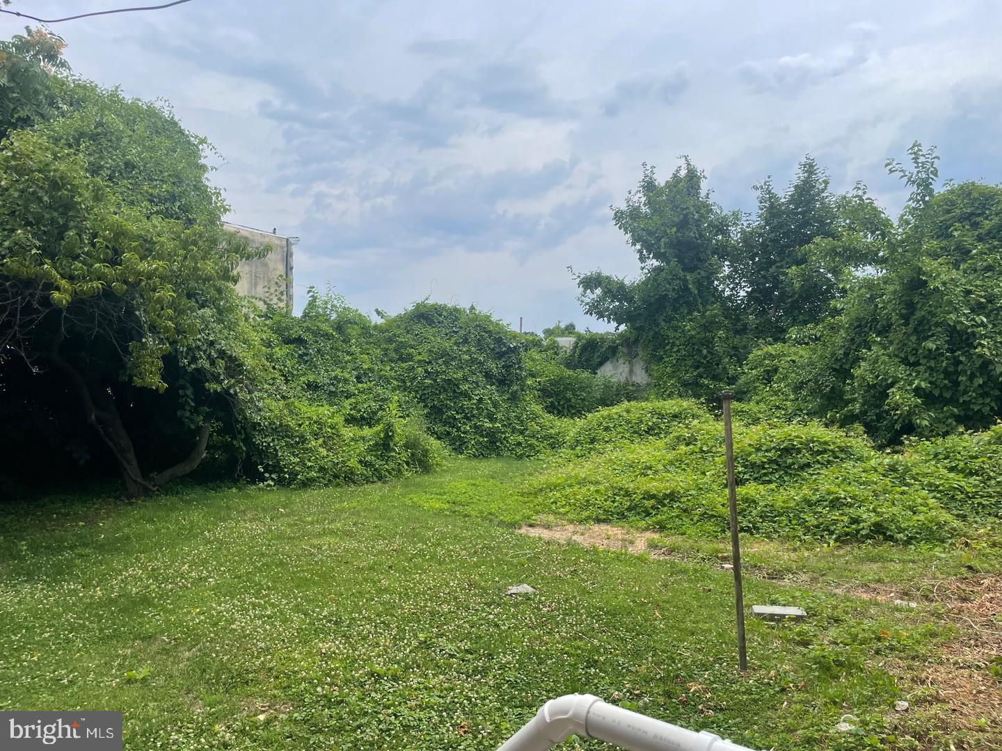 412 East Walnut Lane, Unit 4D Philadelphia, PA 19144 - Photo 4 of 4 Lush greenery awaits your vision.