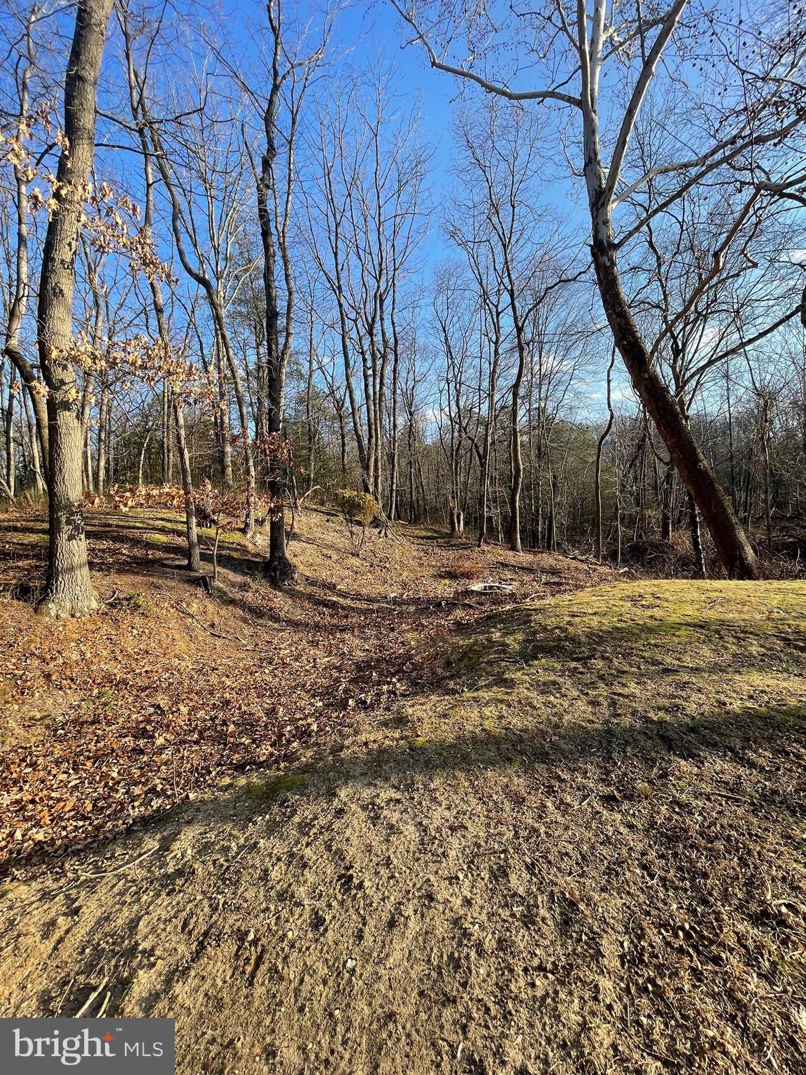 150 North Smith Terrace Clementon, NJ 08021 - Photo 19 of 26 a view of dirt yard with a large tree