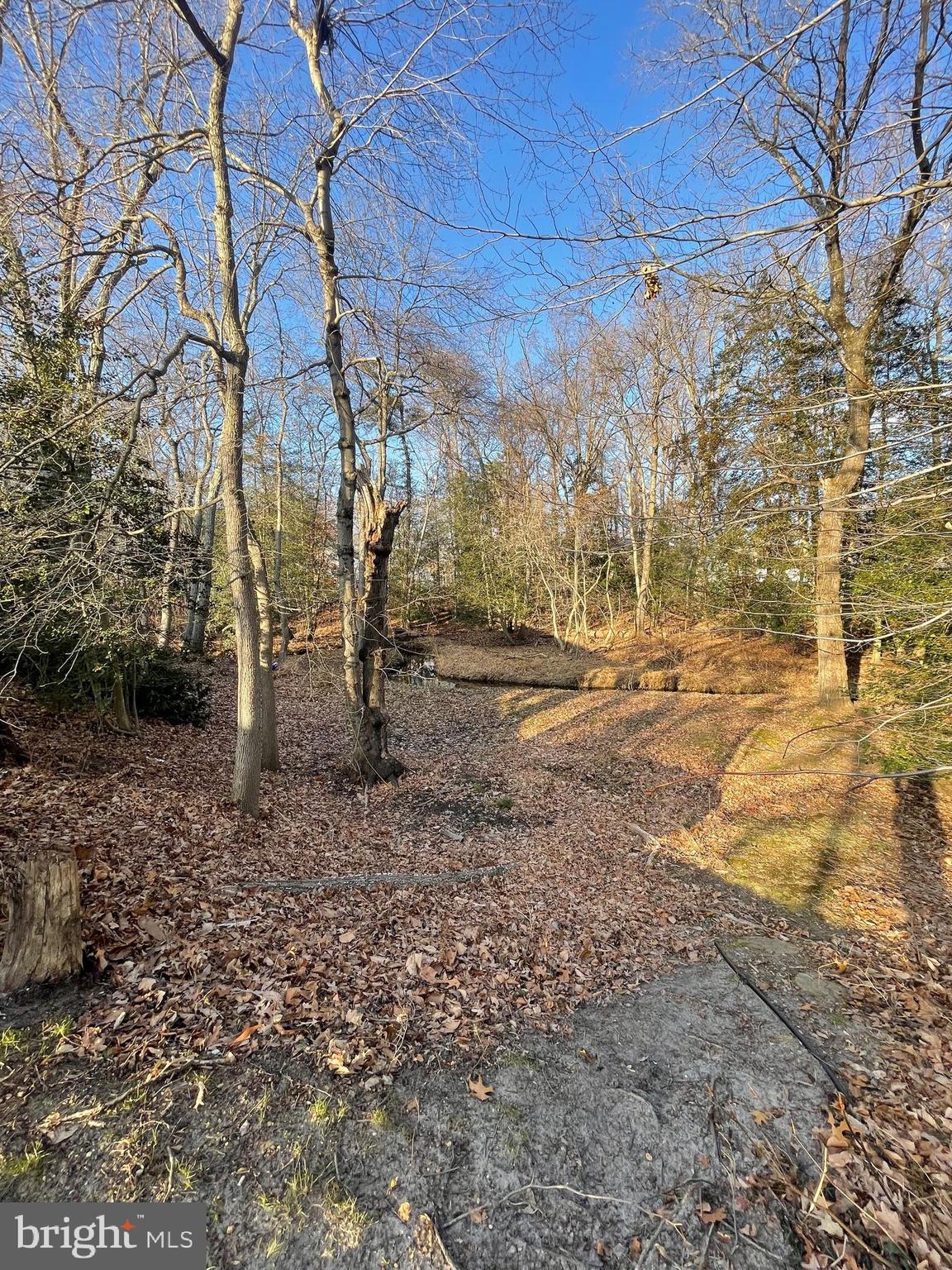 150 North Smith Terrace Clementon, NJ 08021 - Photo 20 of 26 a view of a backyard with large trees