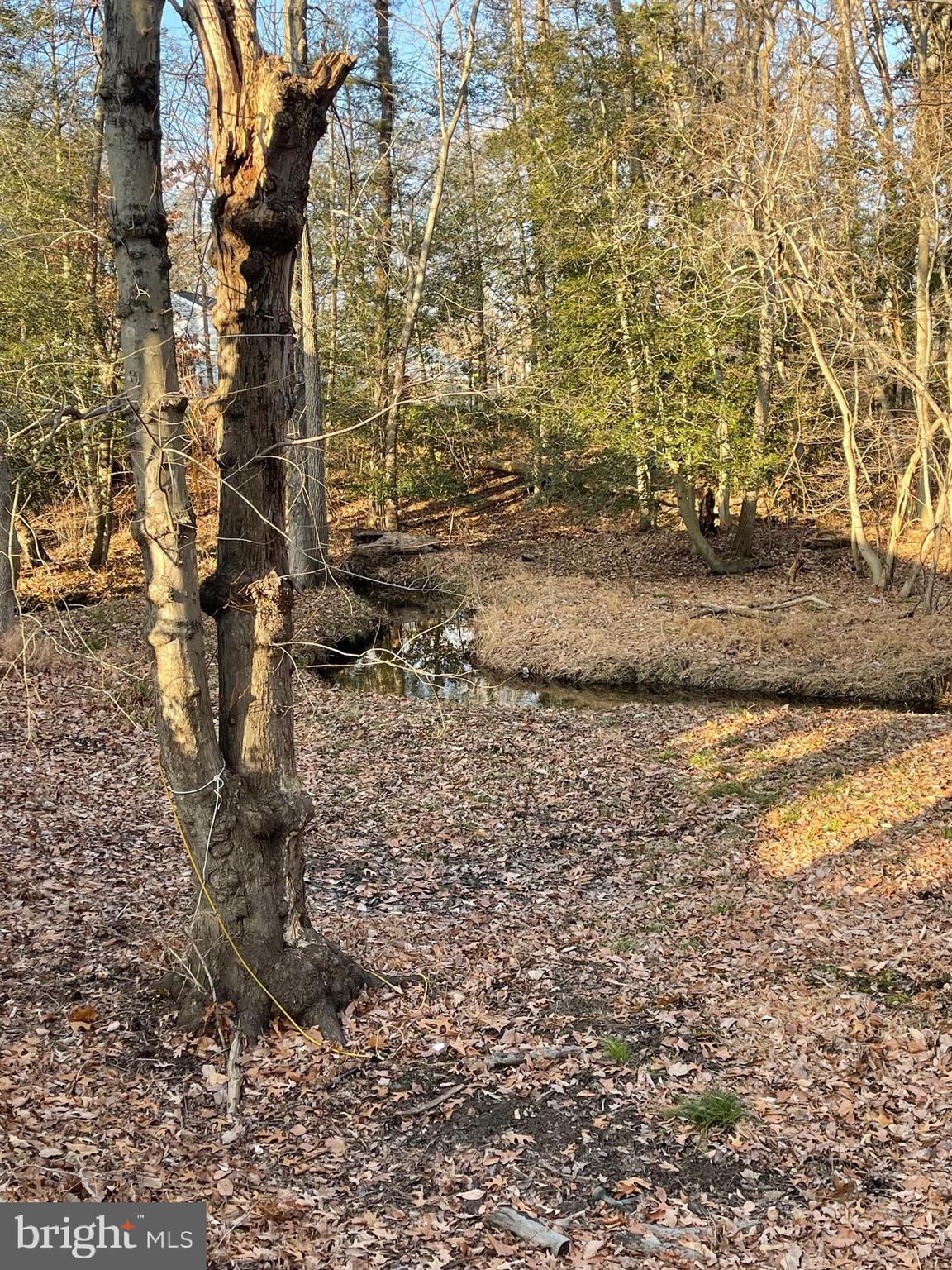 150 North Smith Terrace Clementon, NJ 08021 - Photo 22 of 26