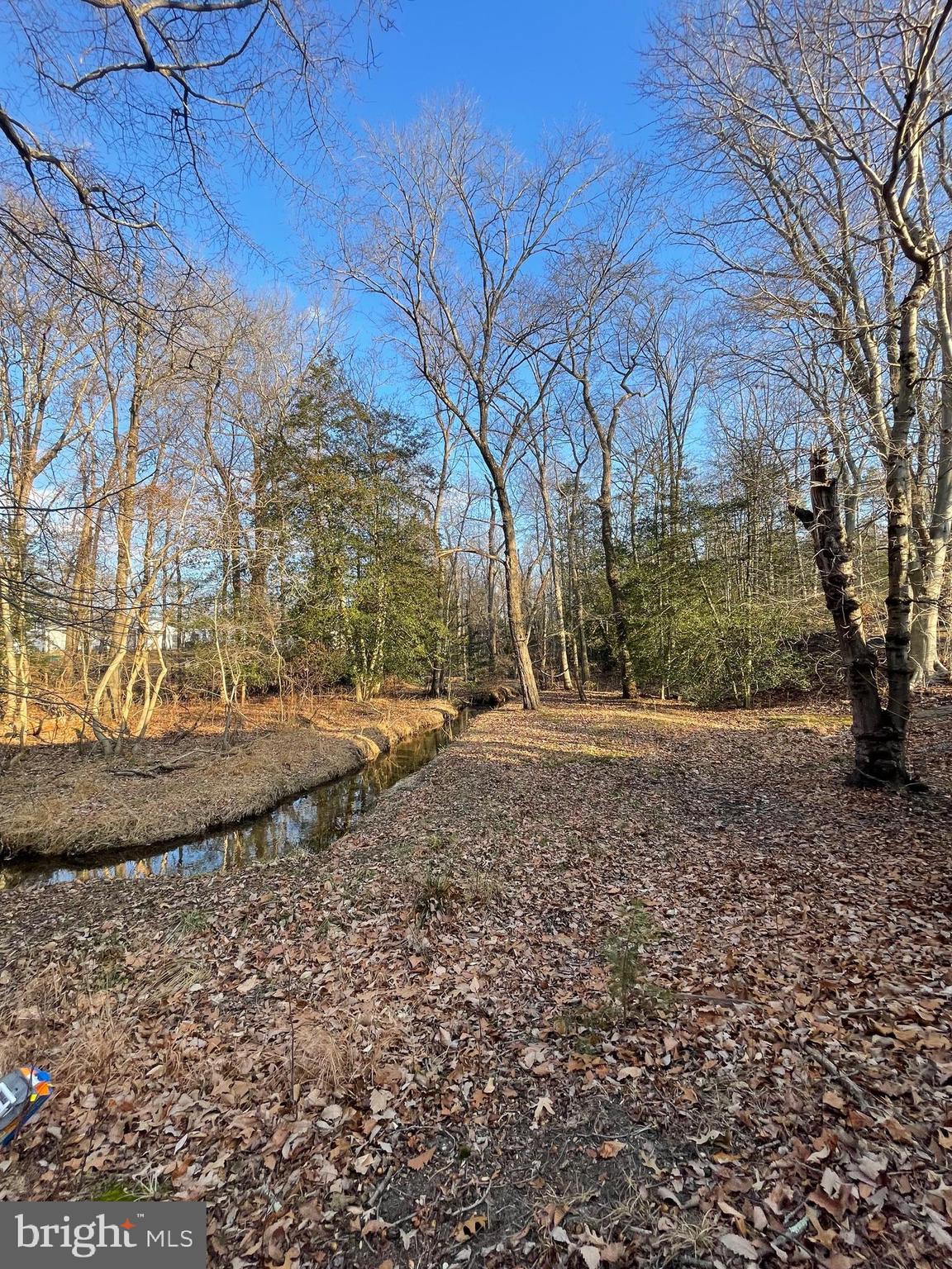 150 North Smith Terrace Clementon, NJ 08021 - Photo 25 of 26 a view of outdoor space yard and tree