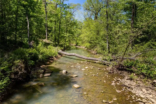 a view of a yard with plants and trees