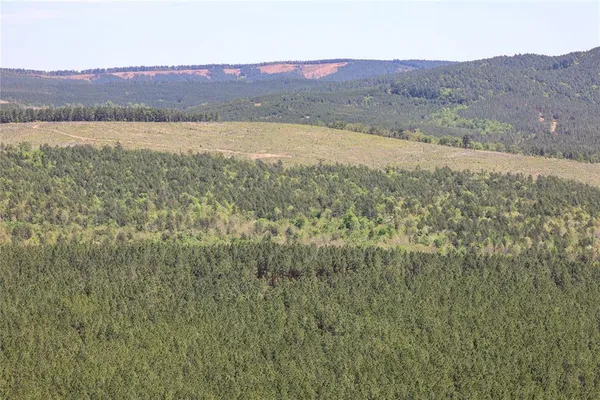 a view of lake with mountain and trees
