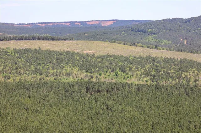 a view of lake with mountain and trees