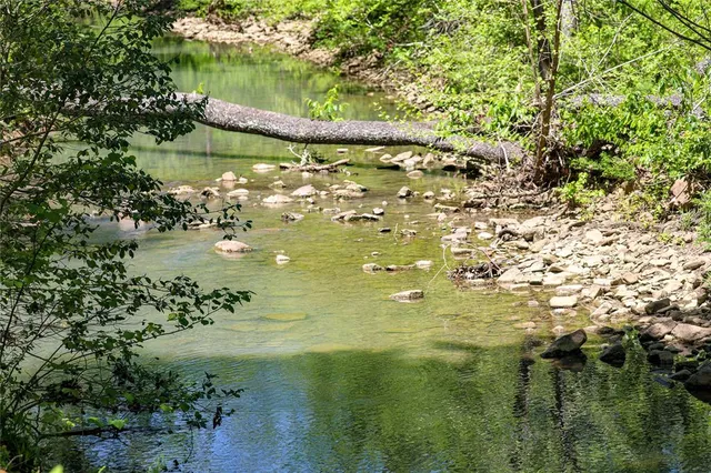 a view of outdoor space and garden