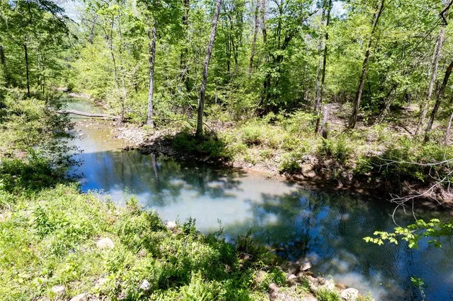 a backyard of a house with lots of plants