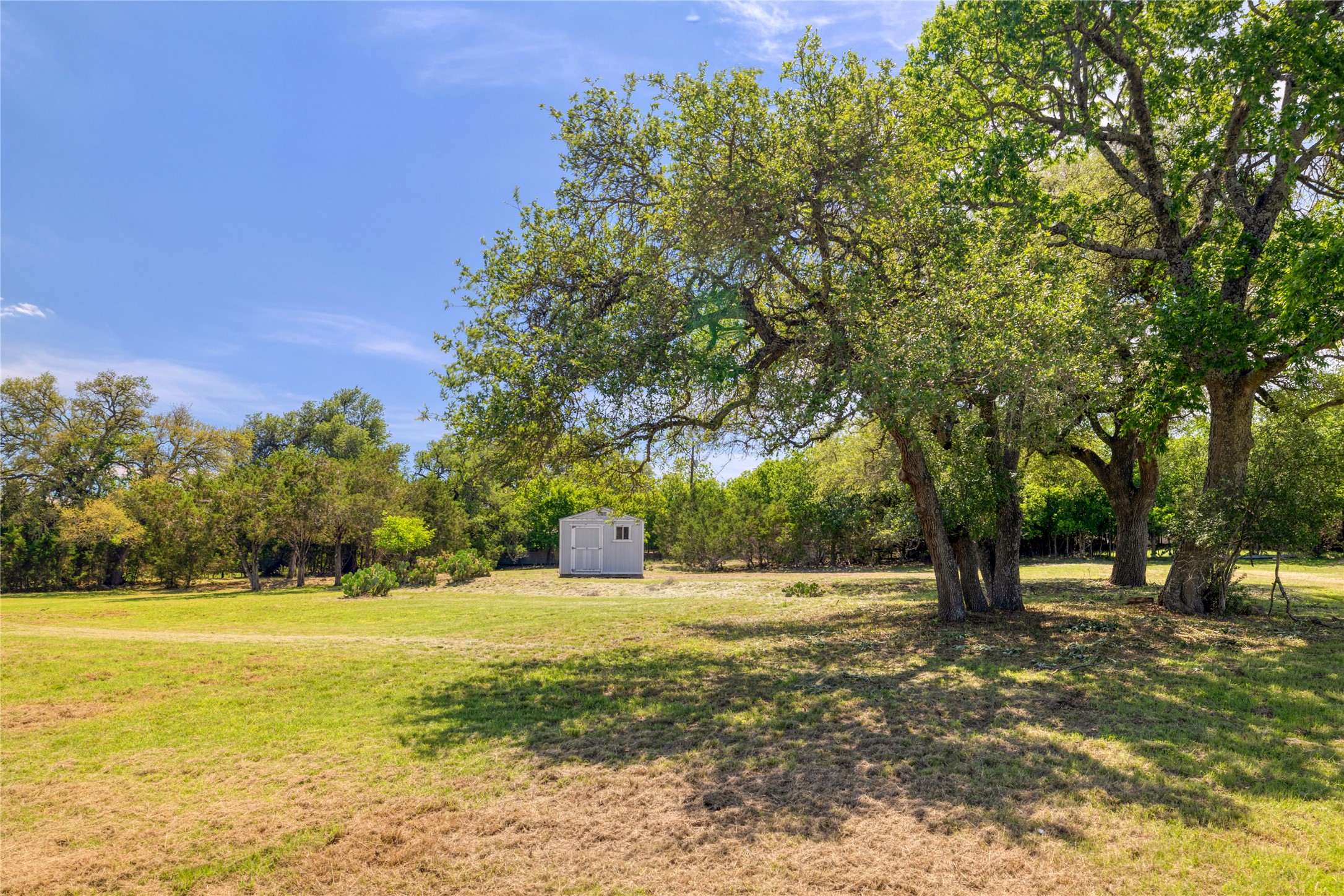 187 Beauchamp Road Dripping Springs, TX 78620 - Photo 4 of 19 Expansive green space featuring scattered mature trees, a light-colored storage shed with a single window, and natural landscaping along the property line