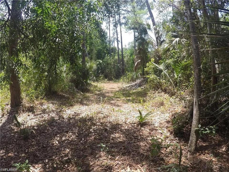 5700 Cedar Tree Lane Naples, FL 34116 - Photo 5 of 5 a view of a yard with plants and trees