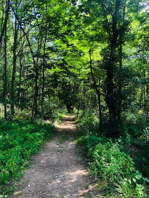 807 Smithfield Road Belgrade, ME 04917 - Photo 58 of 79 IMG_2017