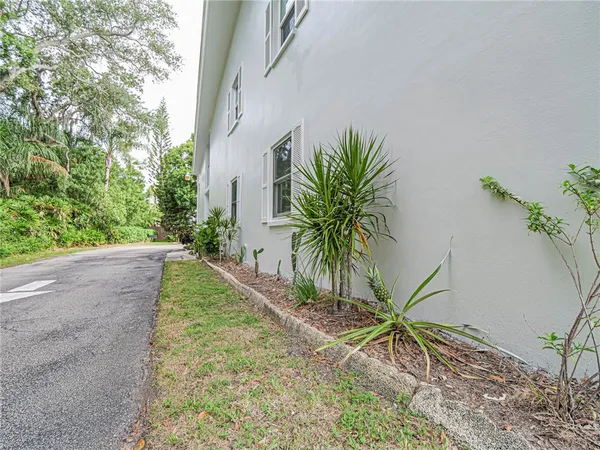 a palm tree sitting in front of a house with a yard