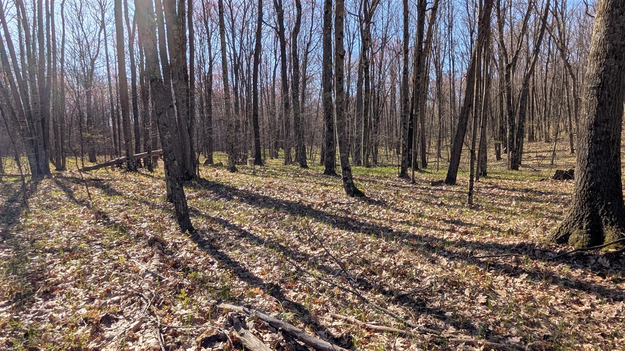 V/l Willow Road Bitely, MI 49309 - Photo 1 of 3