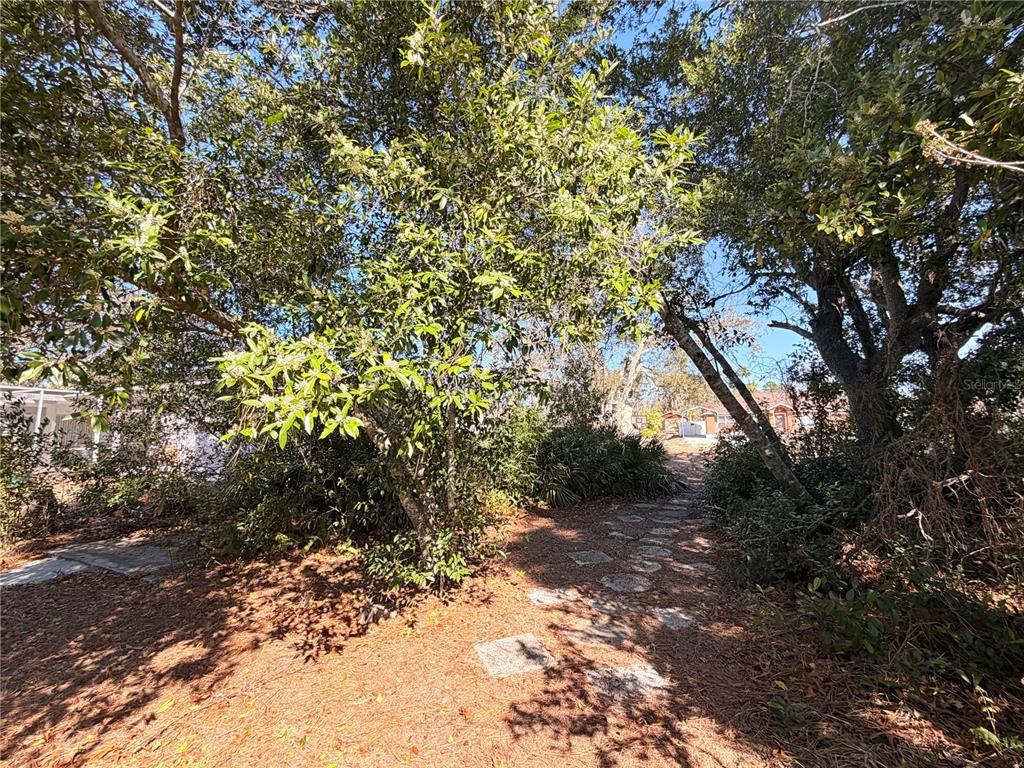 3410 Hartley Road Spring Hill, FL 34606 - Photo 15 of 29 a view of a dry yard with trees