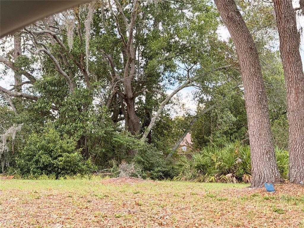 3410 Hartley Road Spring Hill, FL 34606 - Photo 28 of 29 a view of a yard covered in snow