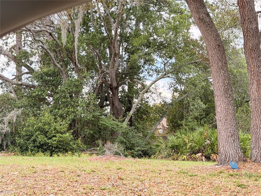 3410 Hartley Road Spring Hill, FL 34606 - Photo 29 of 29 a view of a yard with a tree