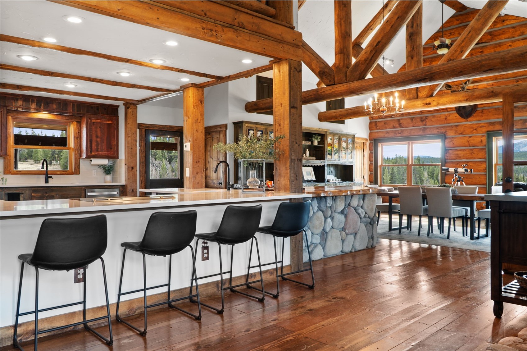 700 Cottage Grove Road Alma, CO 80420 - Photo 2 of 50 Gallery Image 2