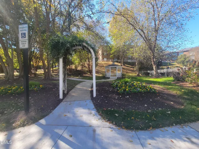 a view of a yard with plants and trees