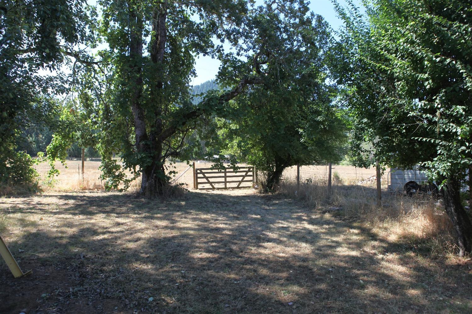 359 Old Stage Rd Road Wolf Creek, OR 97497 - Photo 29 of 35 Additional Photo
