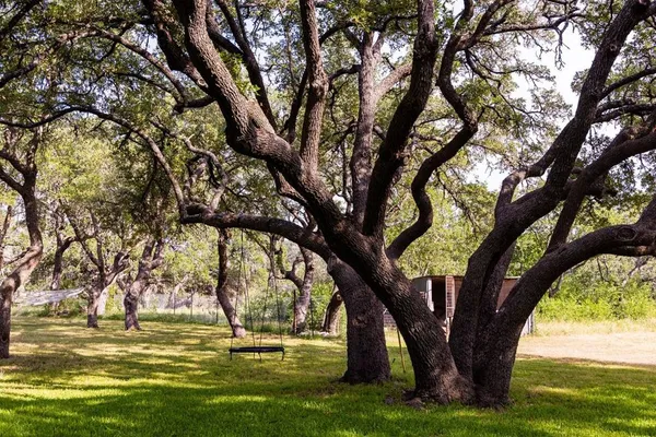 $1,950,000 | 0 West W Highway, Hunt, TX 78024