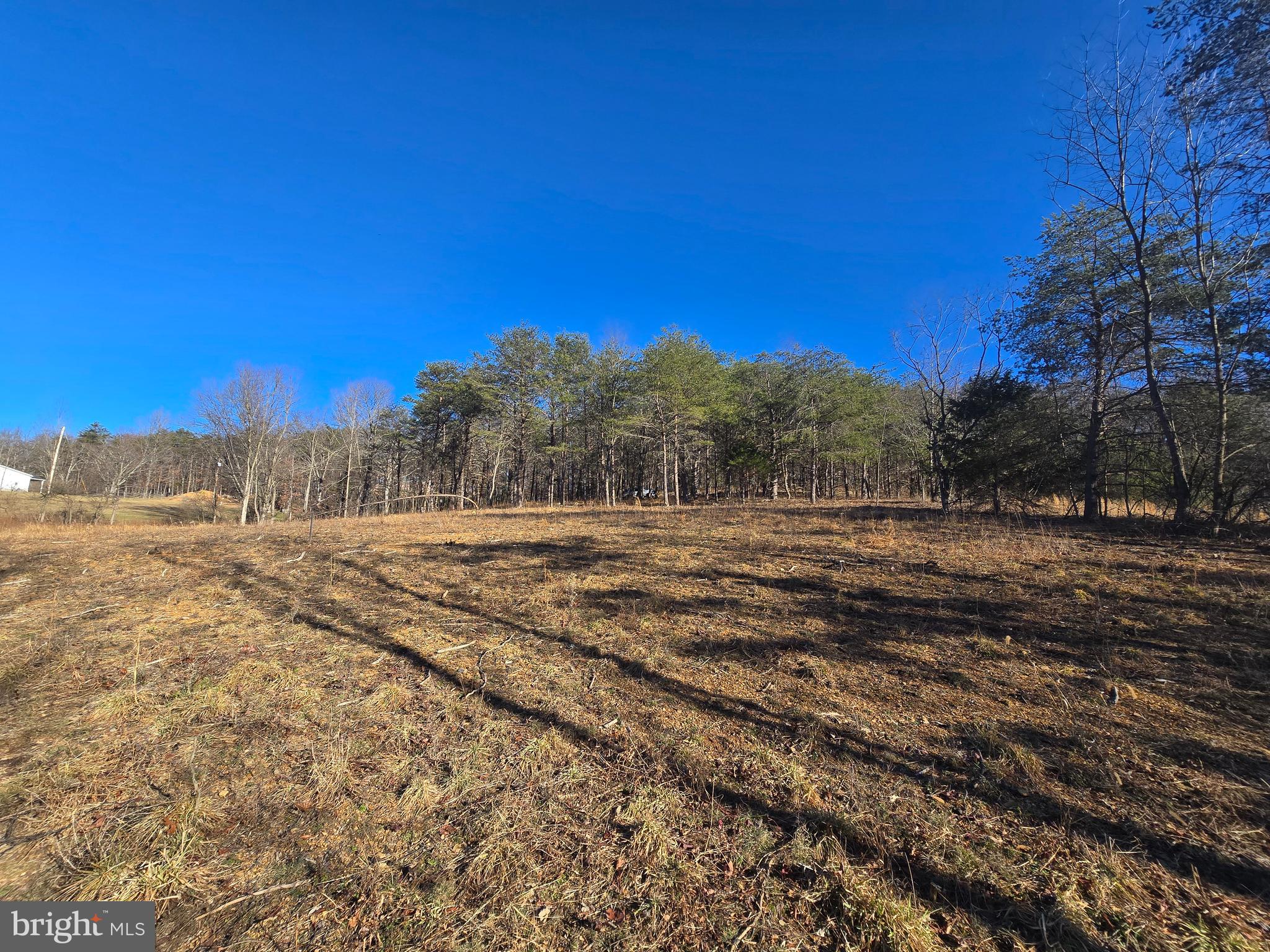 Spielman Road Berkeley Springs, WV 25411 - Photo 5 of 10 a view of a yard with a house