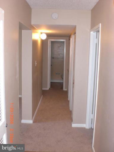 11655 Stoneview Square, Unit 95/12C Reston, VA 20191 - Photo 6 of 12 Hallway