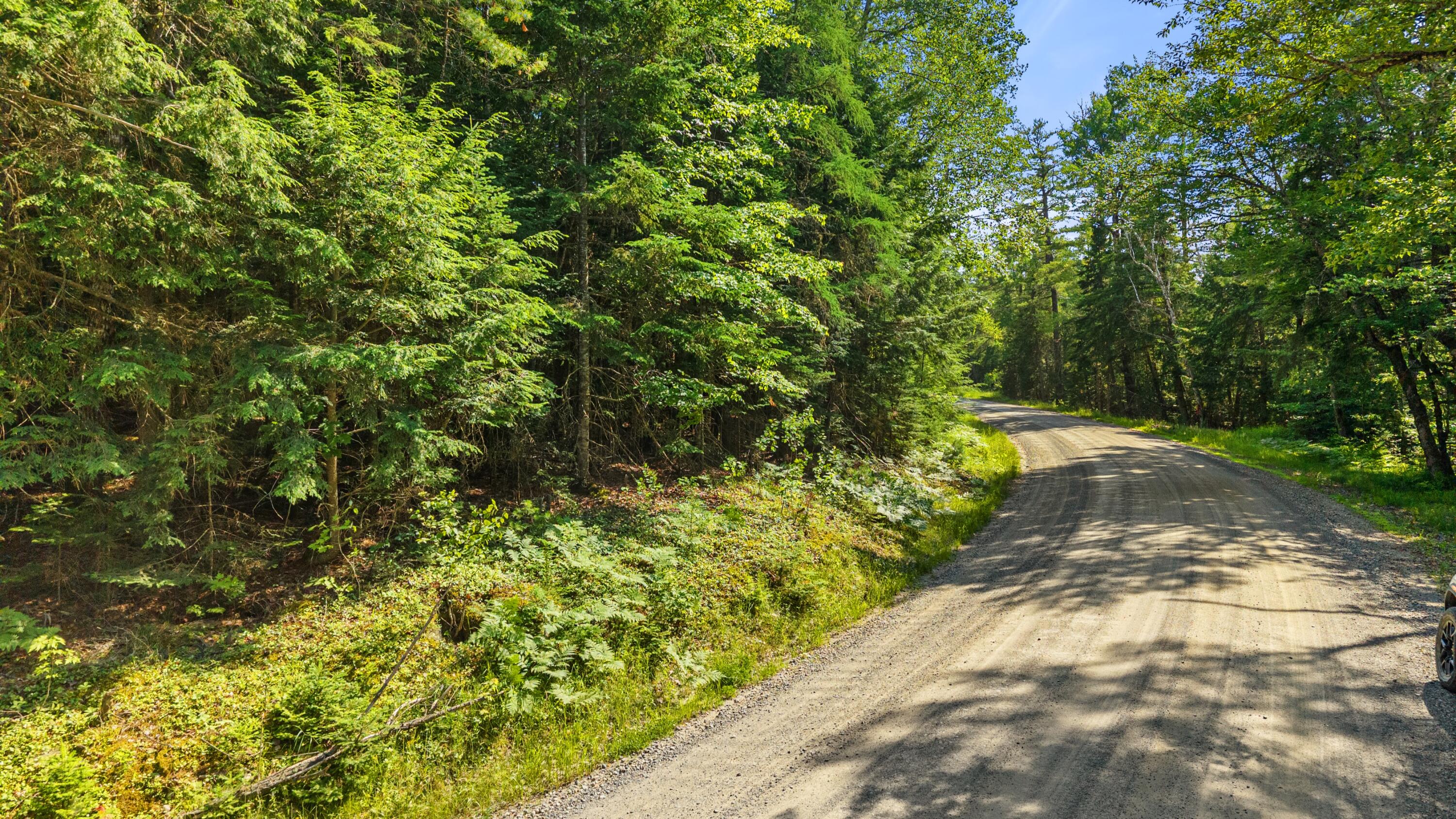 26 County Road Greenbush, ME 04418 - Photo 3 of 8 County Road