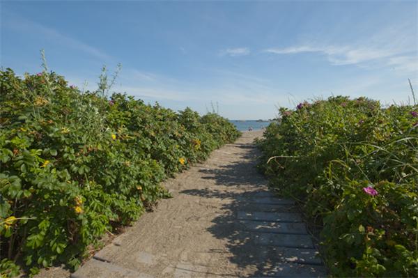 20 Brown Road Swampscott, MA 01907 - Photo 13 of 14 Gallery Image 13