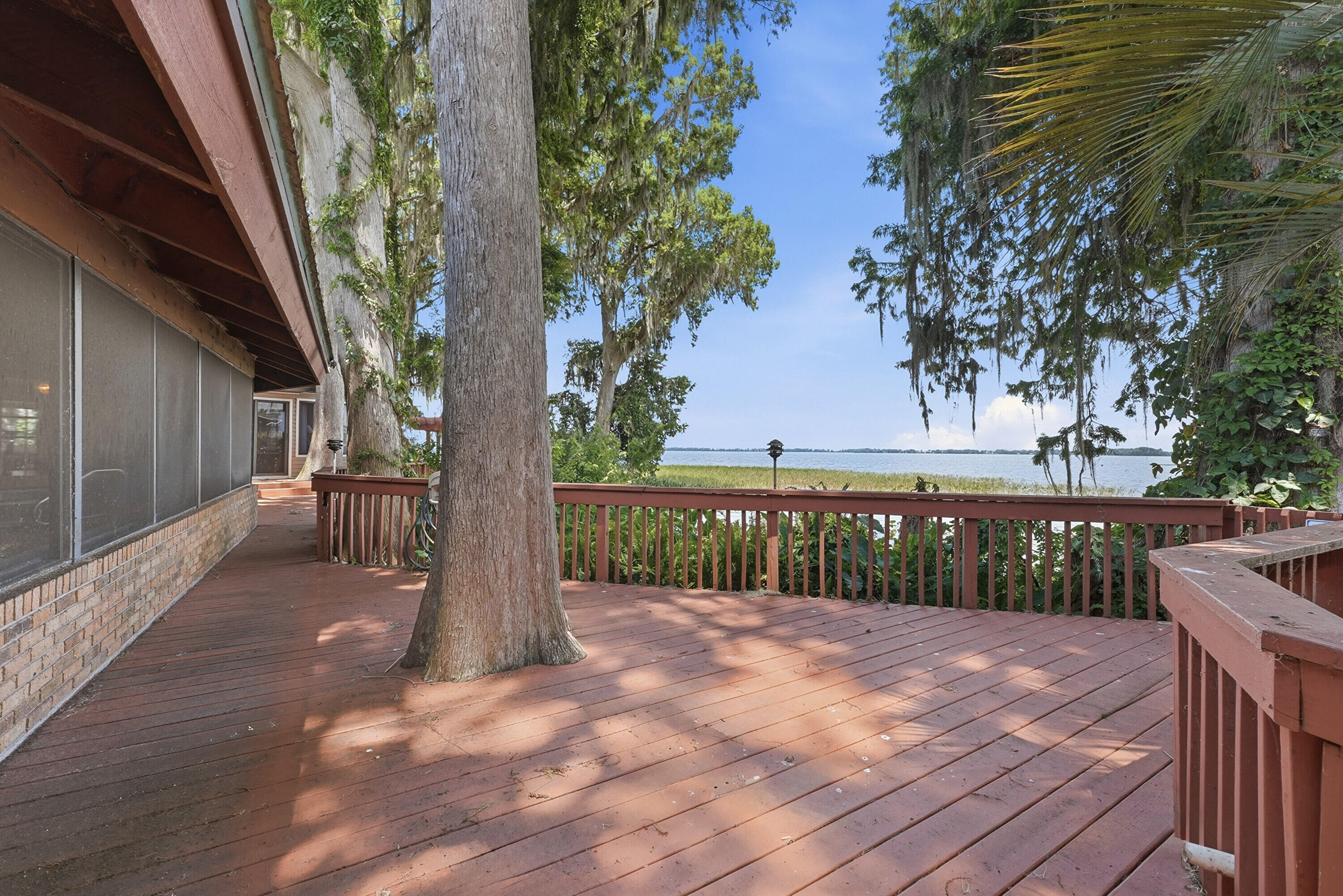 200 Windy Point Road Lake Placid, FL 33852 - Photo 46 of 74 a view of backyard with deck and wooden floor