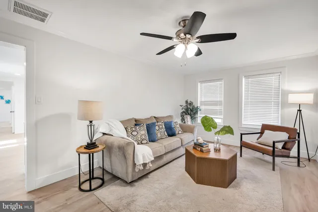 a living room with furniture and a potted plant