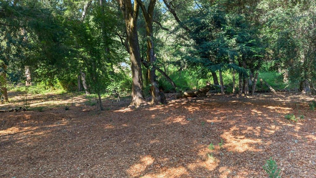 8484 East Zayante Road Felton, CA 95018 - Photo 45 of 58