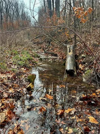 $504,600 | Bar Hollow Dr Road, Blackwater, MO 65322