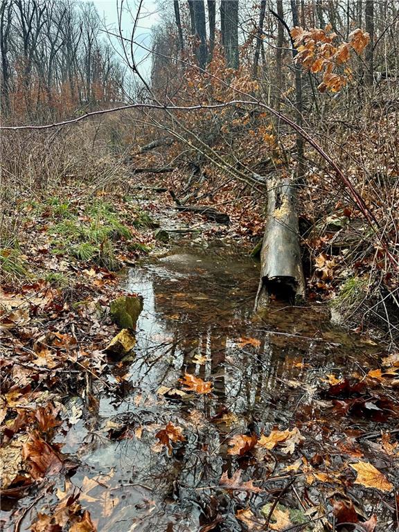 Bar Hollow Dr Road Blackwater, MO 65322 - Photo 15 of 41