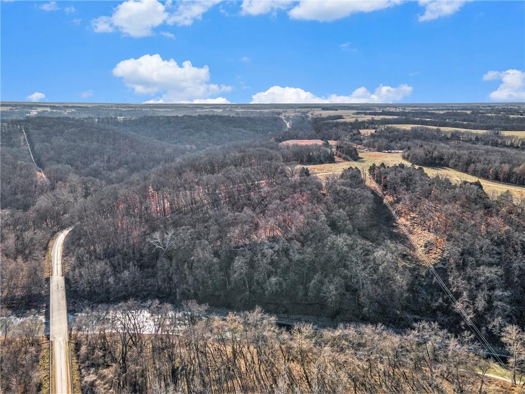 Bar Hollow Dr Road Blackwater, MO 65322 - Photo 19 of 41