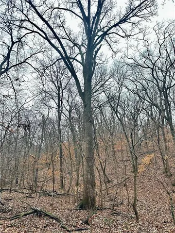 $810,000 | Bar Hollow Dr Road, Blackwater, MO 65322