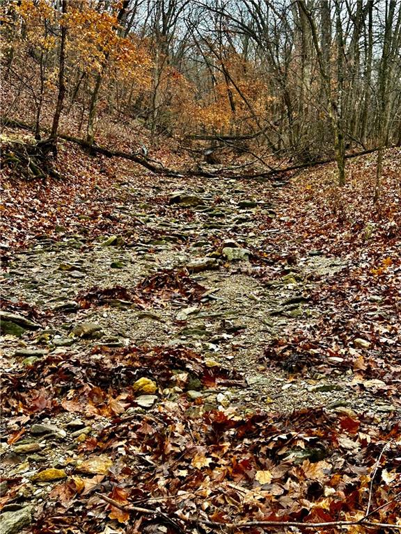 Bar Hollow Dr Road Blackwater, MO 65322 - Photo 21 of 41