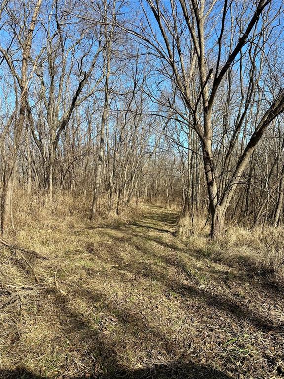 Bar Hollow Dr Road Blackwater, MO 65322 - Photo 22 of 41