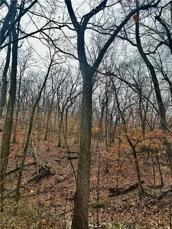$504,600 | Bar Hollow Dr Road, Blackwater, MO 65322